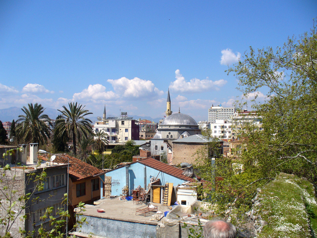 P1000562-b.jpg