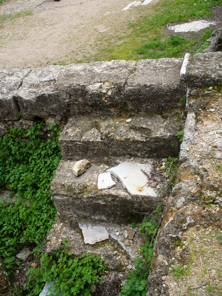 P1000732.JPG