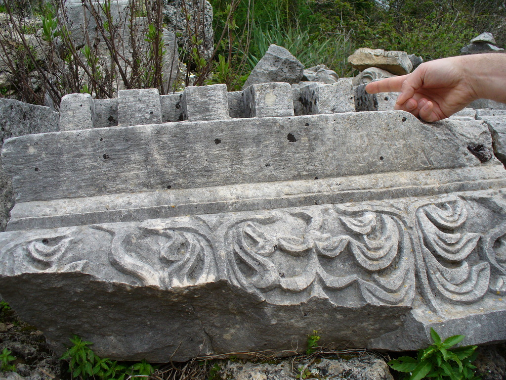 P1000735.JPG