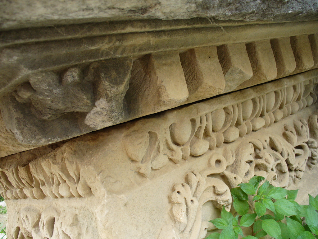 P1000740.JPG