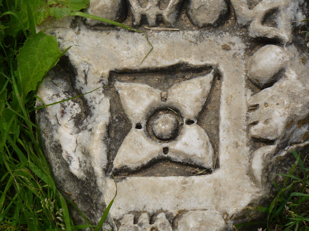 P1000743.JPG