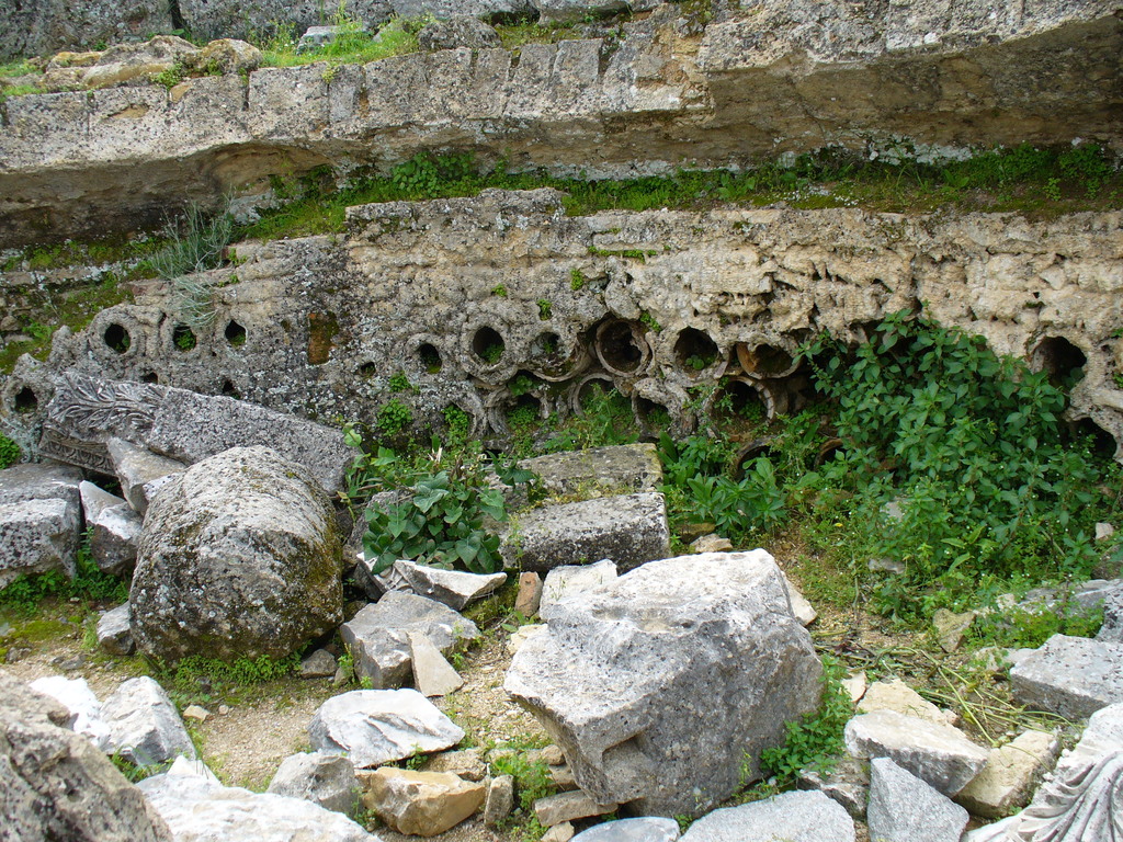 P1000764.JPG