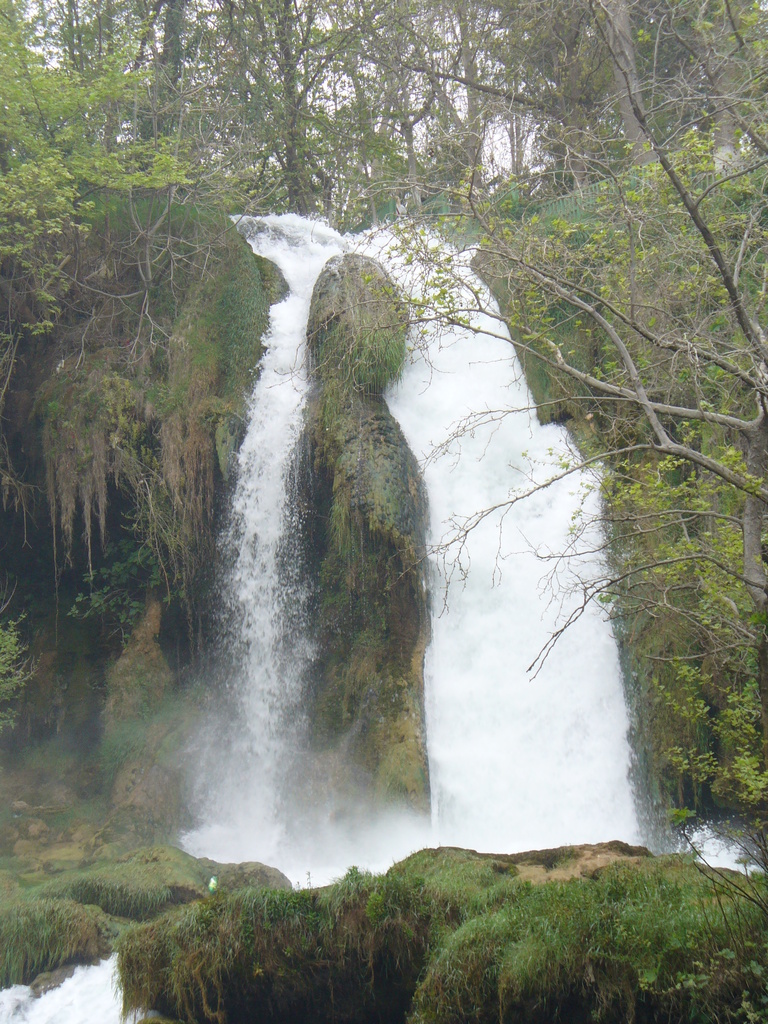 P1000848.JPG