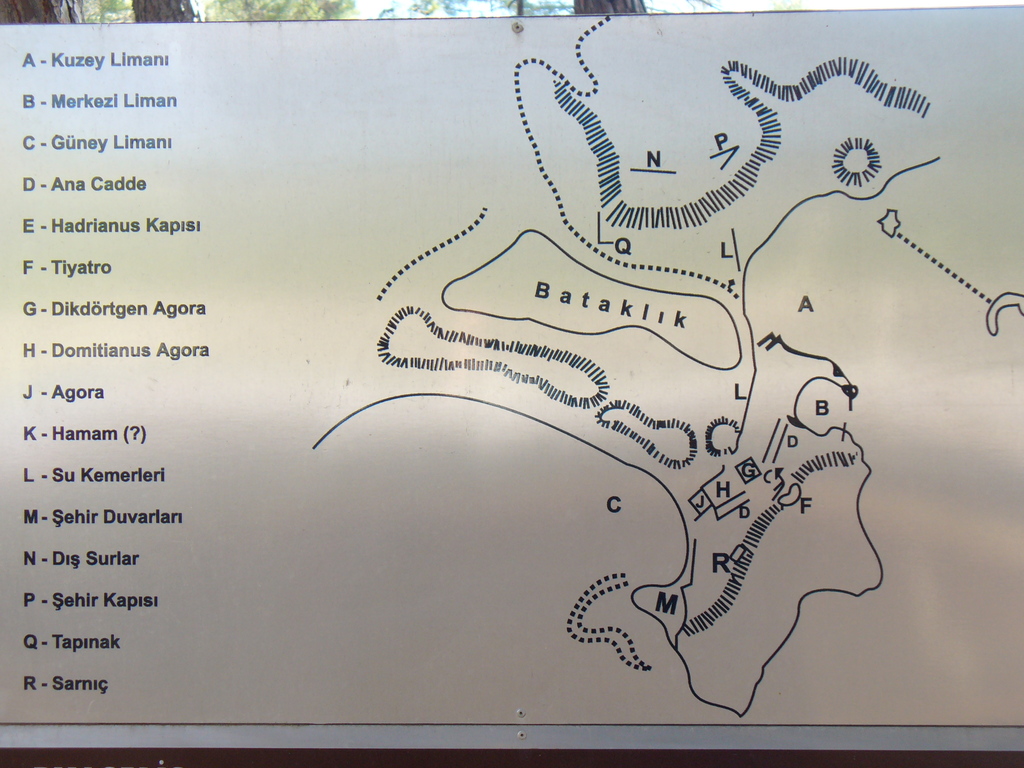 P1000895.JPG