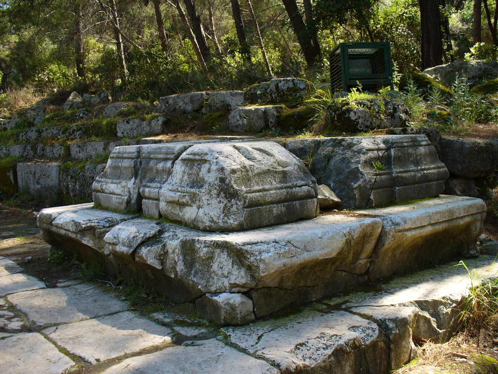 P1000939.JPG