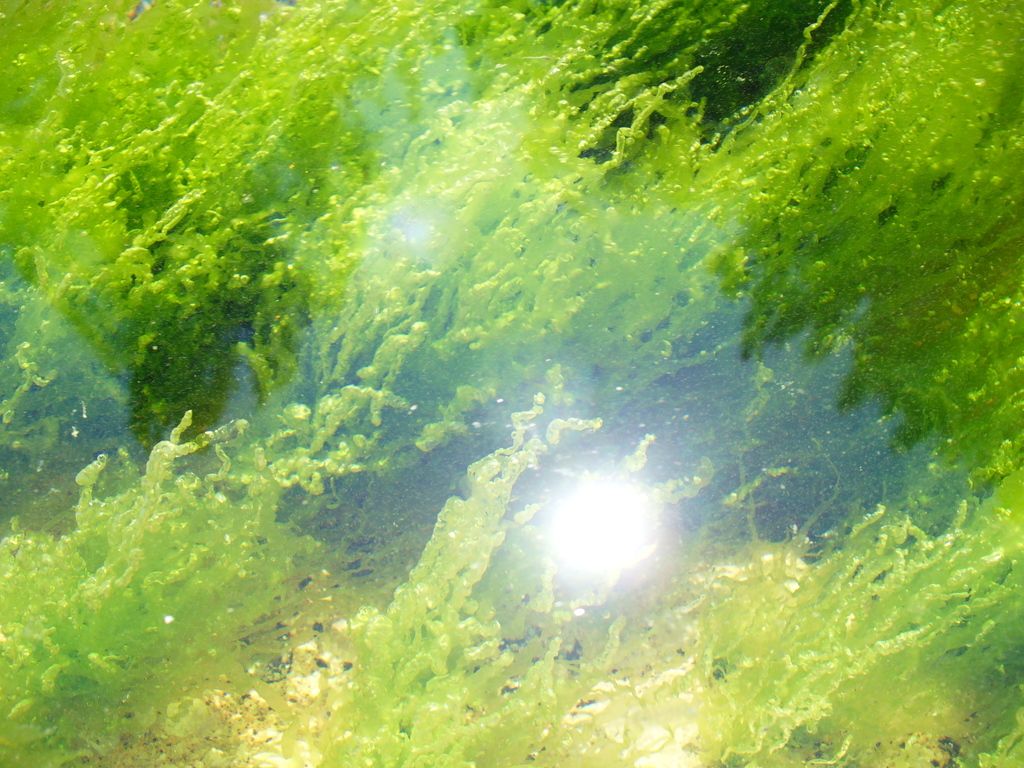 P1000953.JPG