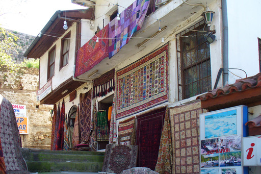 P1000531-b.JPG