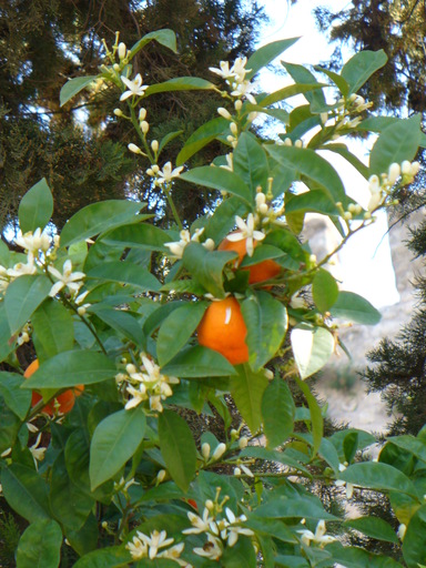 P1000548.JPG