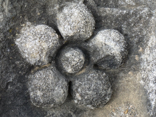 P1000744.JPG