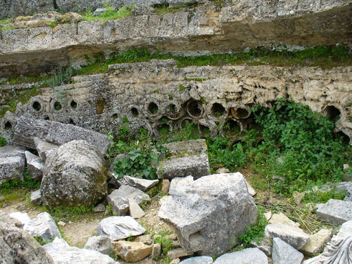P1000764.JPG