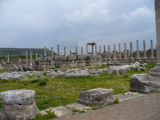 P1000775.JPG