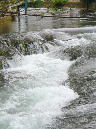 P1000810-b.JPG