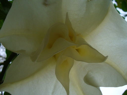 P1000825.JPG