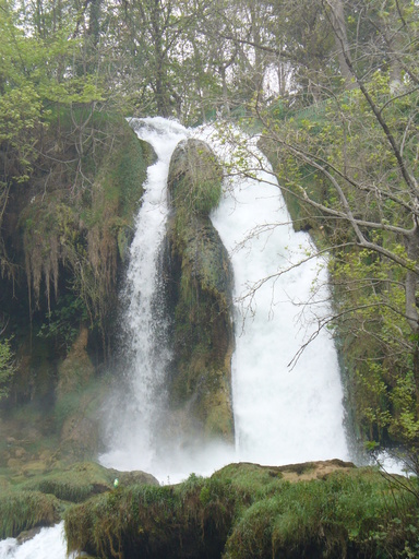 P1000848.JPG
