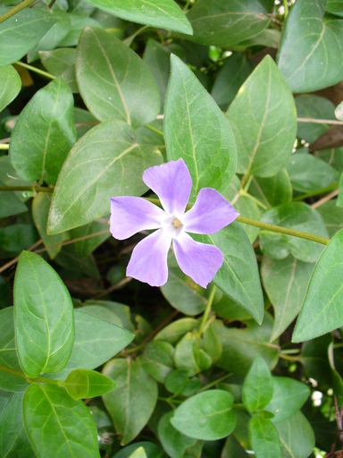 P1000861.JPG