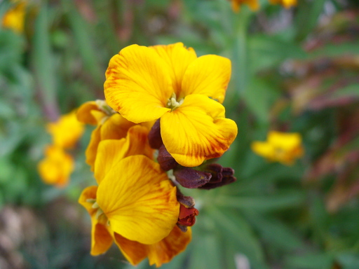 P1000869.JPG