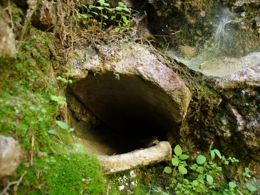 P1000908.JPG