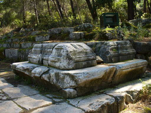 P1000939.JPG
