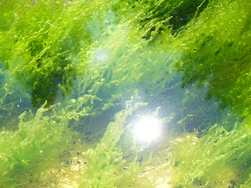 P1000953.JPG